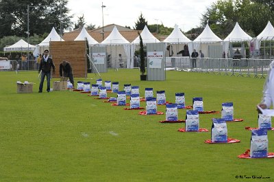 Remise des Prix 003.JPG - CHIENPLUS.COM